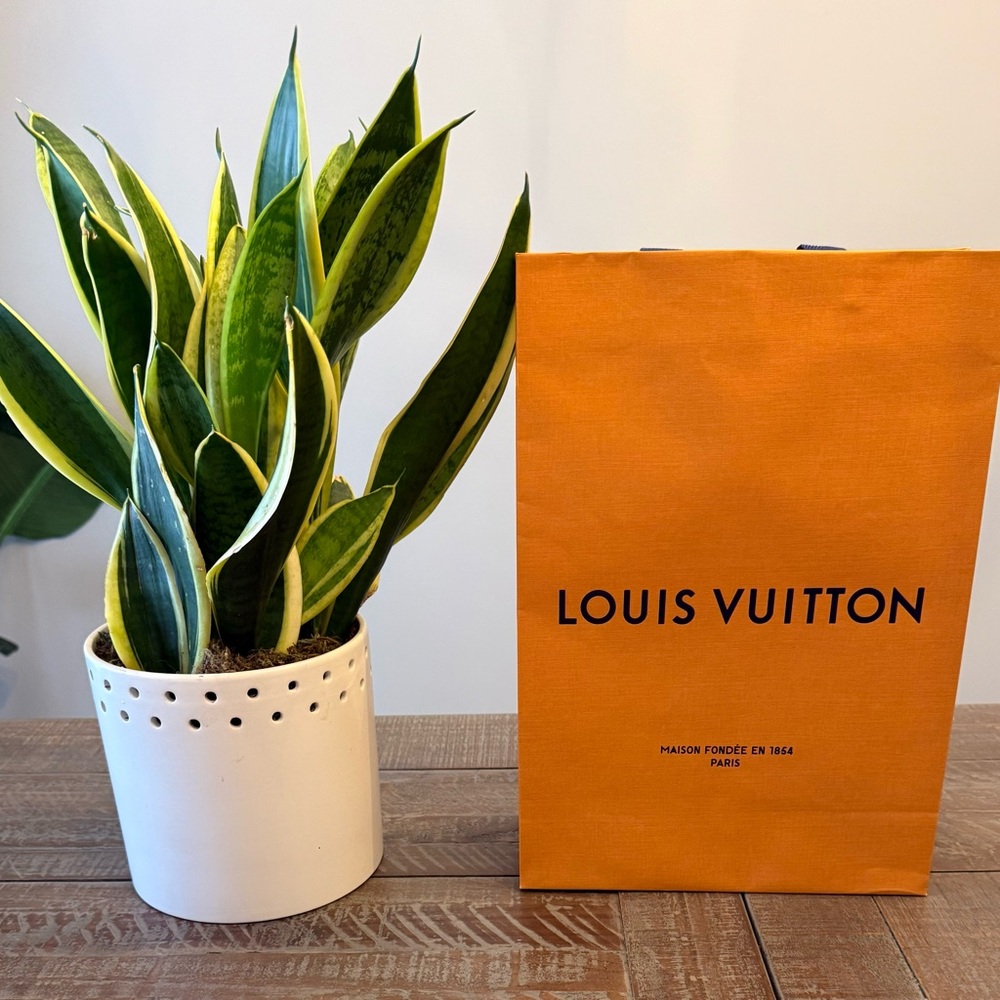 Louis Vuitton Tote Shopping Bag Excellent Condition Authentic 14 x 9.75 x 4.25